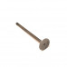 Клапан впускний Chery Jaggi D=29.1 H=108.6 mm 473H-1007011BA